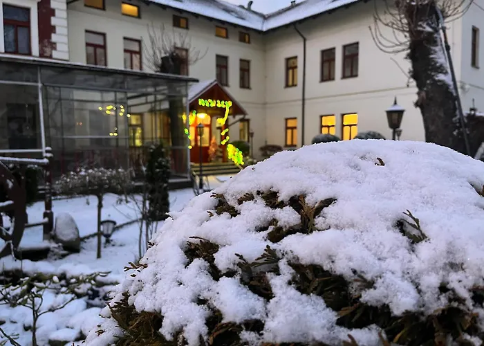Hotel Branik